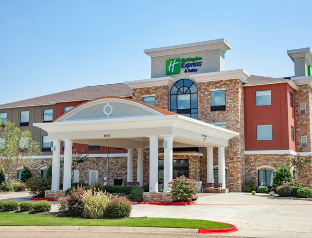 Holiday Inn Express & Suites Texarkana by IHG hotel detail image 1