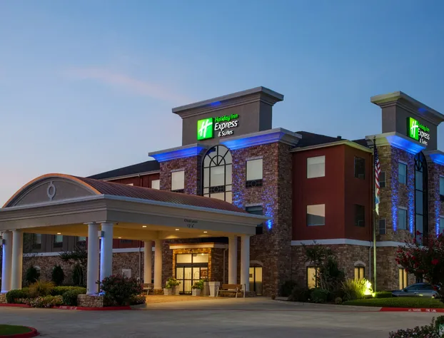 Holiday Inn Express & Suites Texarkana by IHG hotel detail image 2