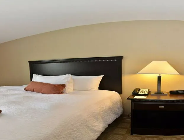 Hampton Inn Dade City - Zephyrhills hotel detail image 4