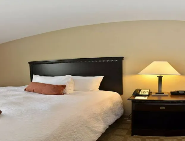 Hampton Inn Dade City - Zephyrhills hotel detail image 3