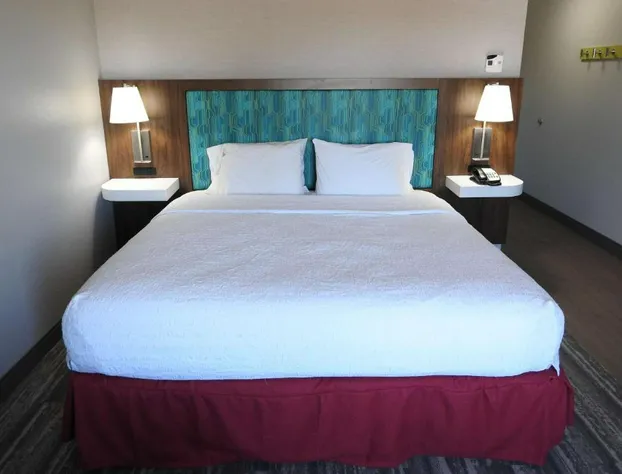 Hampton Inn & Suites by Hilton Flowery Branch Lake Lanier hotel detail image 3