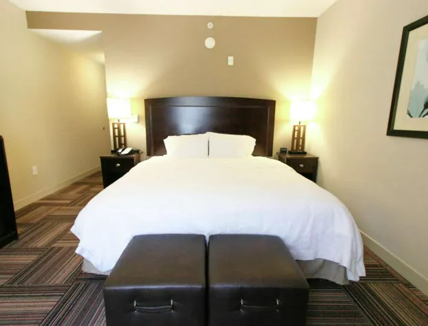 Hampton Inn & Suites by Hilton Flowery Branch Lake Lanier hotel detail image 4