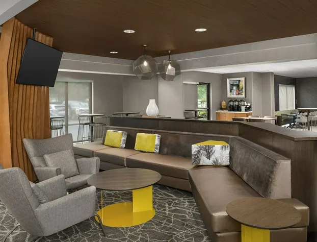 SpringHill Suites by Marriott Atlanta Buford/Mall of Georgia hotel detail image 1