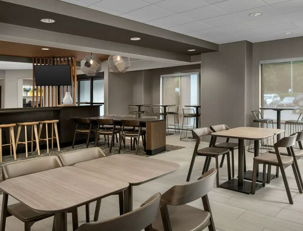 SpringHill Suites by Marriott Atlanta Buford/Mall of Georgia hotel detail image 2