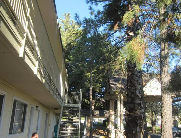 Best Western Gold Country Inn hotel detail image 4