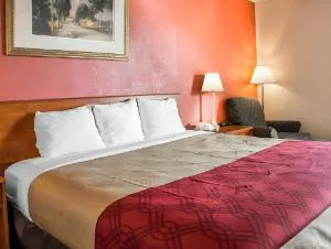 Econo Lodge Madison hotel detail image 2