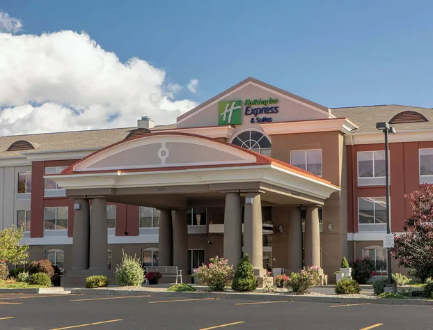 Holiday Inn Express Hotel & Suites Vestal by IHG hotel detail image 1