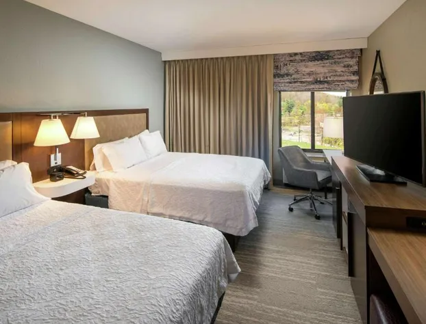 Hampton Inn & Suites Binghamton/Vestal hotel detail image 4