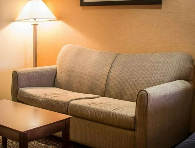 Quality Inn & Suites Port Huron hotel detail image 2