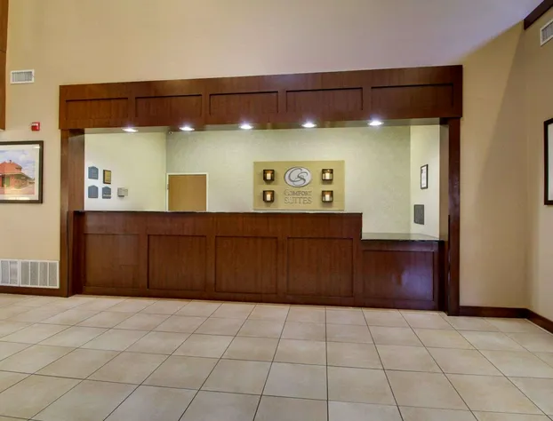 Comfort Suites Tyler South hotel detail image 3