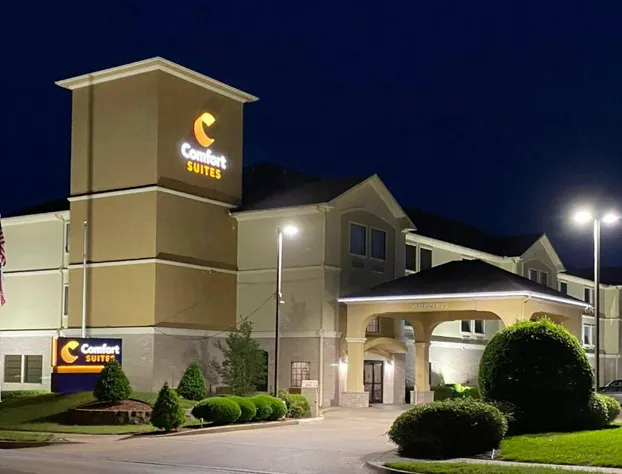 Comfort Suites Tyler South hotel detail image 1