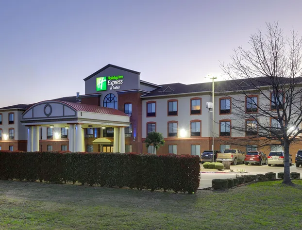Holiday Inn Express & Suites Burleson/Ft. Worth by IHG hotel detail image 1