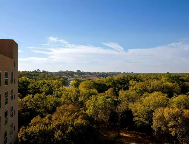 The Ricardo Marriott® DFW Westlake hotel detail image 2
