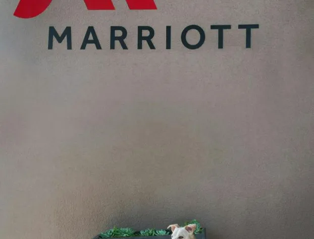 Marriott Dallas/Fort Worth Westlake hotel detail image 2