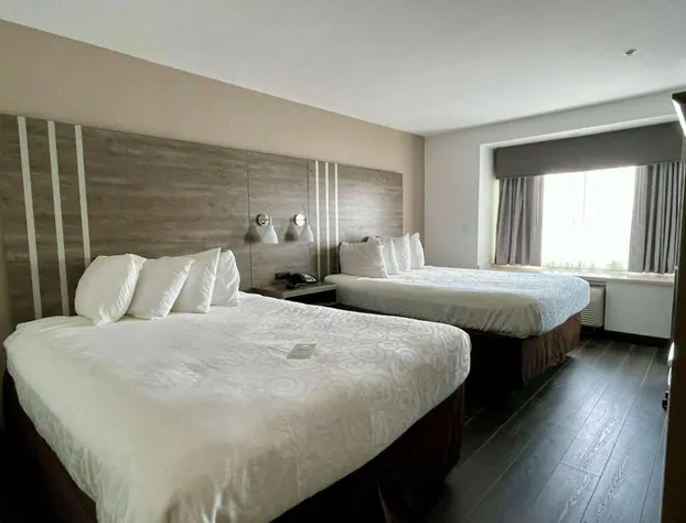 Best Western Roanoke Inn & Suites hotel detail image 3