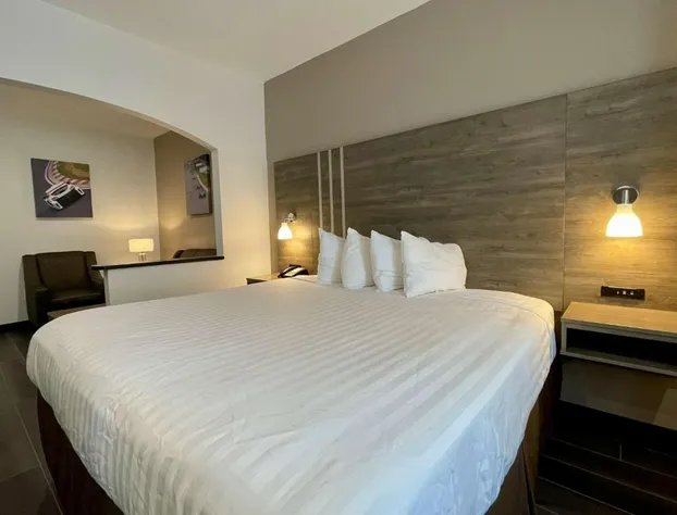 Best Western Roanoke Inn & Suites hotel detail image 4