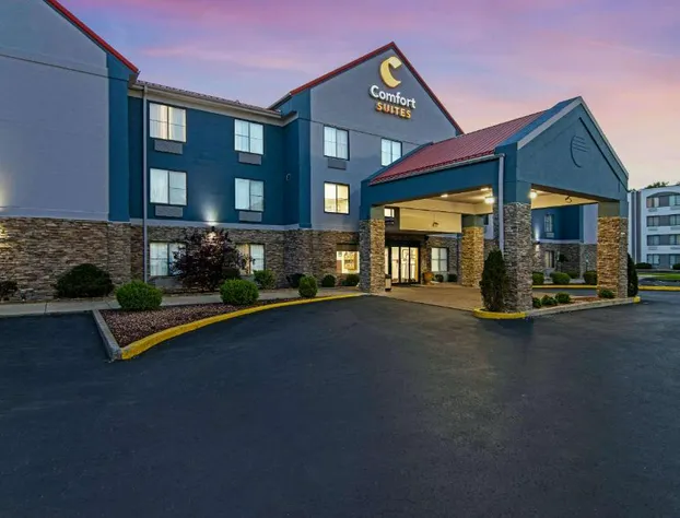 Comfort Suites near I-80 and I-94 hotel detail image 2