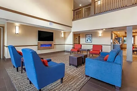 Comfort Inn & Suites Geneva - West Chicago hotel detail image 2