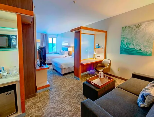 SpringHill Suites by Marriott Macon hotel detail image 3