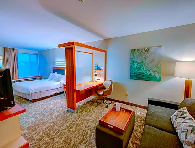 SpringHill Suites by Marriott Macon hotel detail image 4