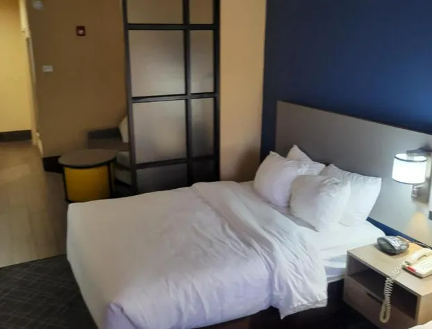 Comfort Suites Macon Northwest hotel detail image 4