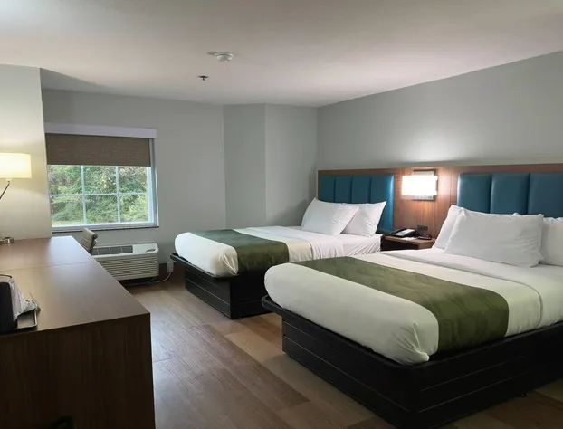 Wingate by Wyndham Macon I-475 hotel detail image 2