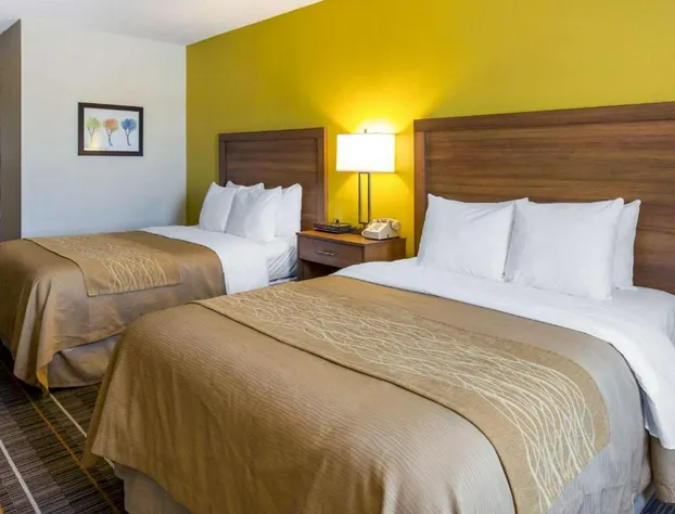 Quality Inn Stephens City - Winchester South hotel detail image 4