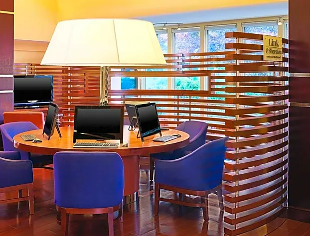 Blue Ridge Hotel and Conference Center hotel detail image 4