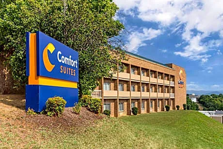 Comfort Suites Inn at Ridgewood Farm hotel detail image 3