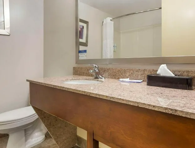 Comfort Suites Inn at Ridgewood Farm hotel detail image 4