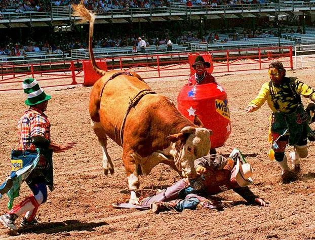 Candlewood Suites Cheyenne by IHG hotel detail image 2