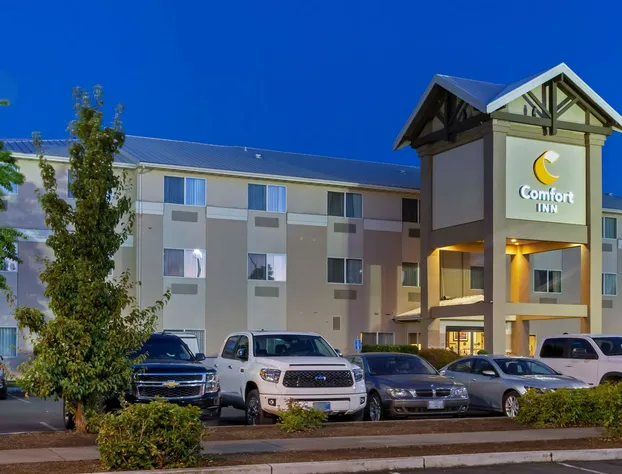 Comfort Inn South hotel detail image 3