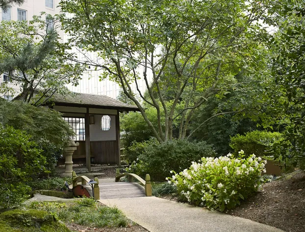 Grand Hyatt Atlanta in Buckhead hotel detail image 2