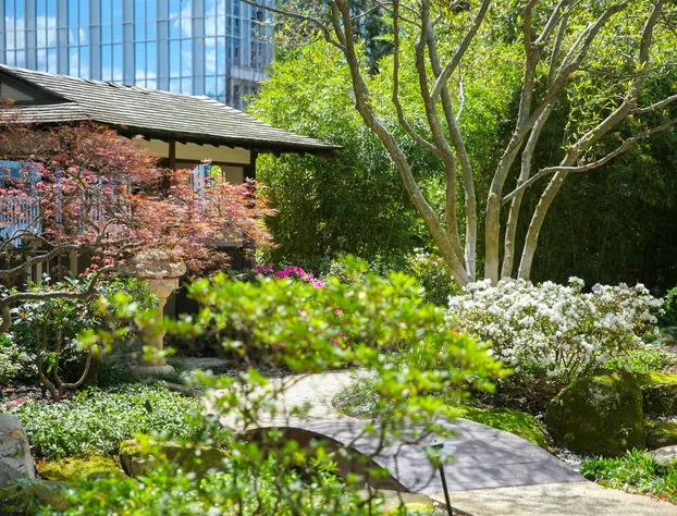 Grand Hyatt Atlanta in Buckhead hotel detail image 3