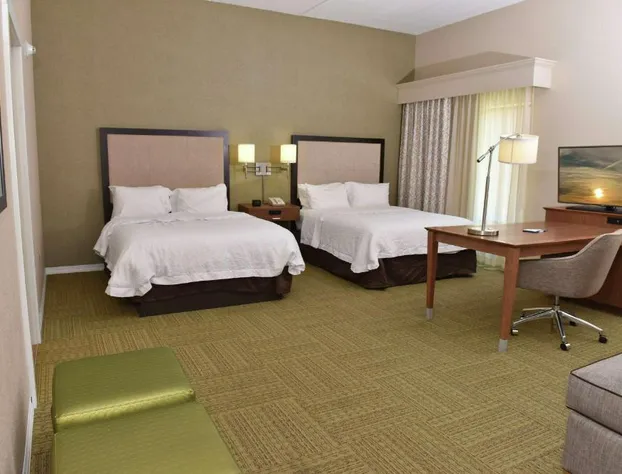 Hampton Inn & Suites Alexandria hotel detail image 3