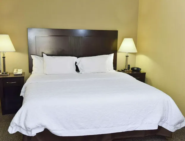 Hampton Inn & Suites Alexandria hotel detail image 4