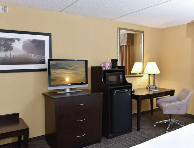 Hampton Inn & Suites Alexandria hotel detail image 4