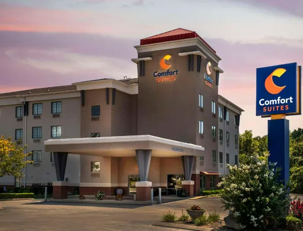 Comfort Suites hotel detail image 2