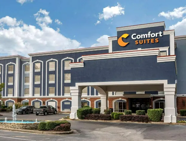 Comfort Suites Olive Branch - Memphis South hotel detail image 1
