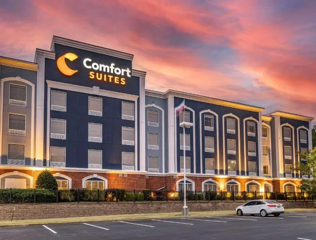 Comfort Suites Olive Branch - Memphis South hotel detail image 2