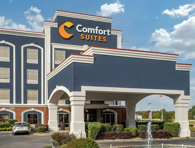 Comfort Suites Olive Branch - Memphis South hotel detail image 1