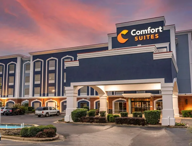 Comfort Suites Olive Branch - Memphis South hotel detail image 2