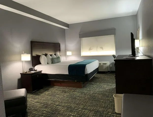 Best Western Plus Olive Branch Hotel & Suites hotel detail image 3