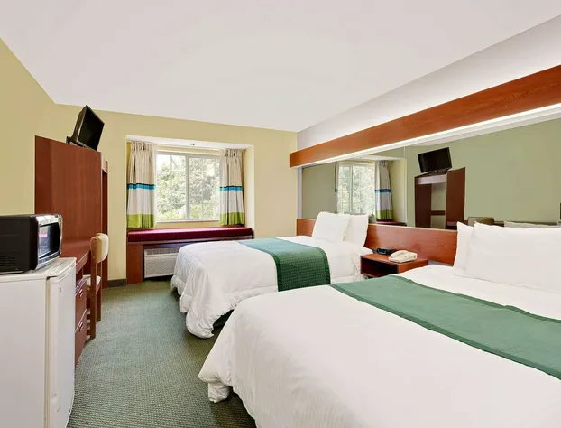 Microtel Inn & Suites by Wyndham Thomasville/High Point/Lexi hotel detail image 2