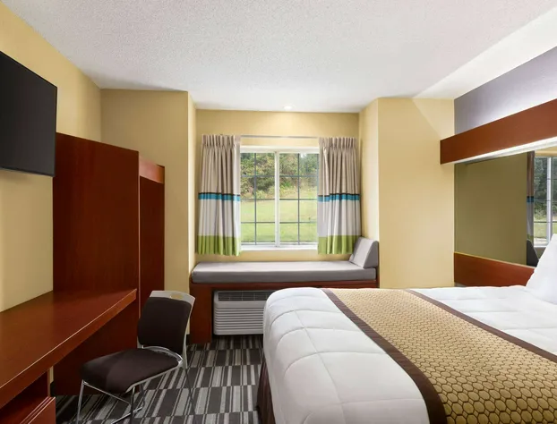 Microtel Inn & Suites by Wyndham Thomasville/High Point/Lexi hotel detail image 3