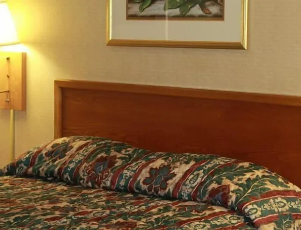 Palmetto Inn Florence hotel detail image 4