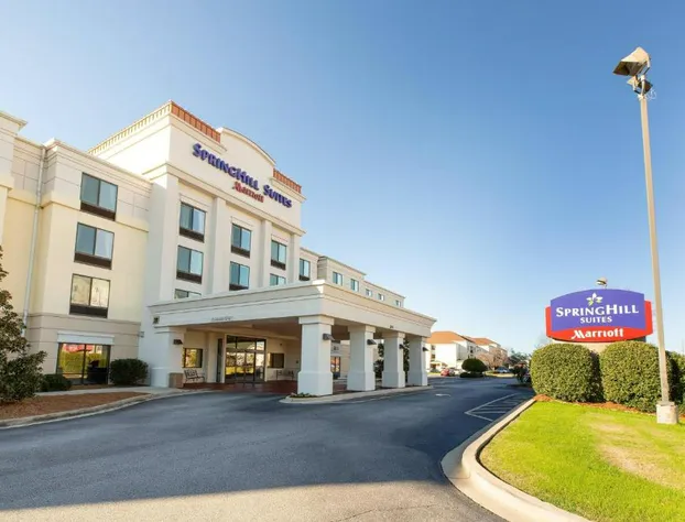 SpringHill Suites by Marriott Florence hotel detail image 1