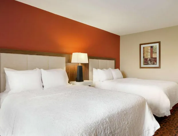 Hampton Inn Wichita Falls Sikes Senter Mall hotel detail image 4