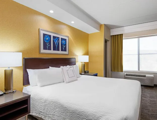 SpringHill Suites by Marriott Wheeling Tridelphia Area hotel detail image 4