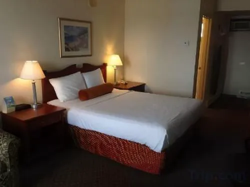 Knights Inn Lethbridge hotel detail image 3